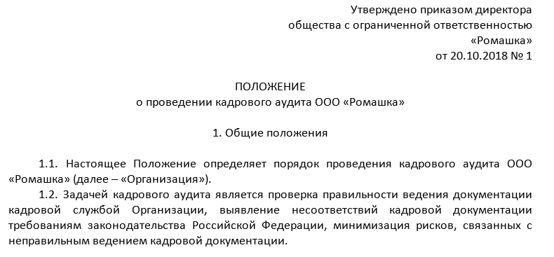 Приказ о проведении внутреннего аудита образец