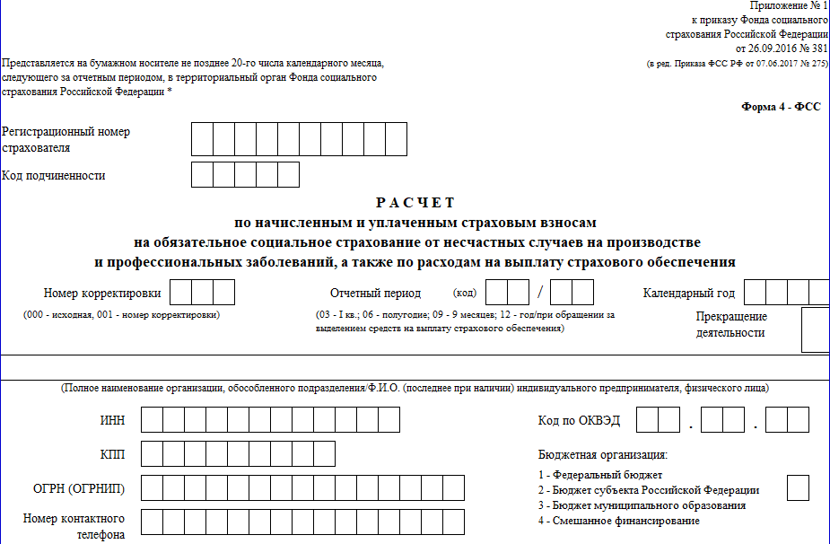 Форма отчетности 4 ФСС. ФСС РФ форма 4 ФСС за 2020 год. Форма 4 ФСС нулевая отчетность. 4фсс за 2022 год форма.