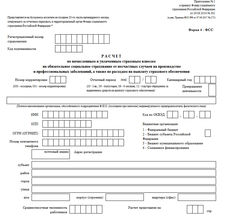 Бланк 4-ФСС за 2020 год