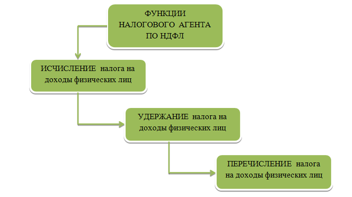 Функции налогового агента. Порядок удержания НДФЛ. Удержание НДФЛ налоговым агентом. Функции налогового агента по НДФЛ.