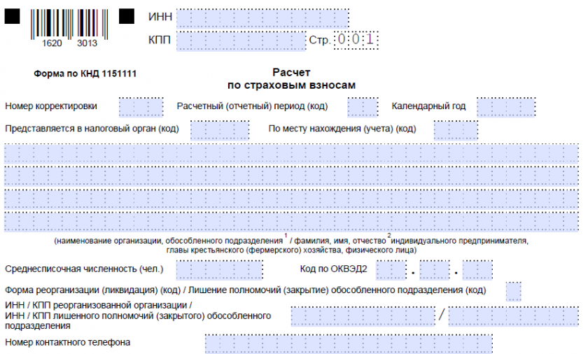 Рсв в лицах. Новая форма РСВ С 2022 года. КНД 1151162. Форма РСВ за 2021. Форма РСВ 1 квартал 2021.